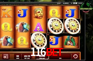 A Experiência Imersiva dos Cassinos Ao Vivo no 116Bet
