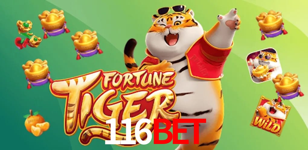 Experiência VIP 116Bet
